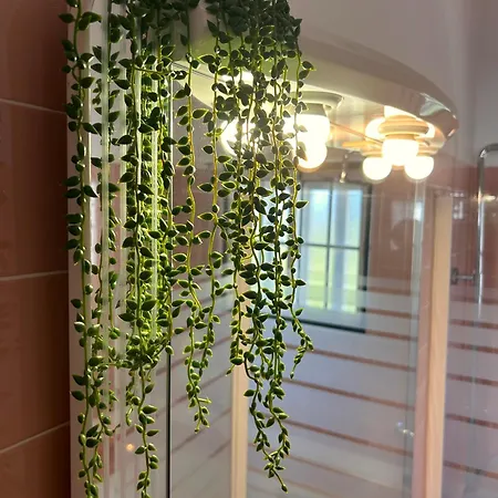 Дом отдыха Ninho Da Irene *